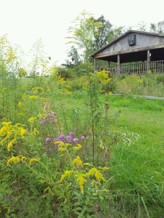 Old Crow Wetlands, William Penn Hwy, Smithfield Twp, PA, Places MapQuest