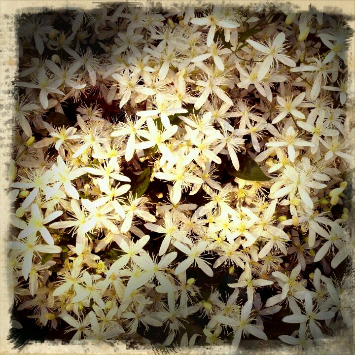 Leola, PA Map & Directions MapQuest