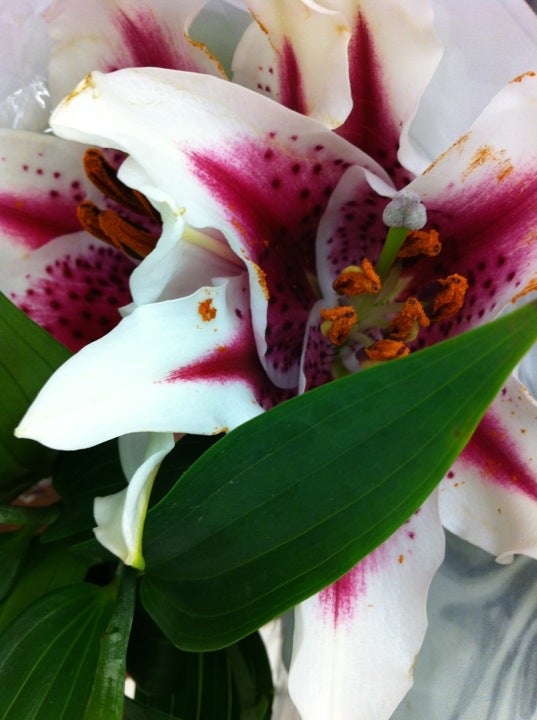 Baker's Pharmacy, 801 Galvin Rd S, Bellevue, NE MapQuest