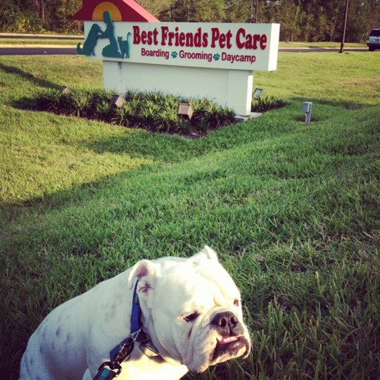 Doggy Cay Camp - Best Friends Pet Care - Lake Buena Vista, FL