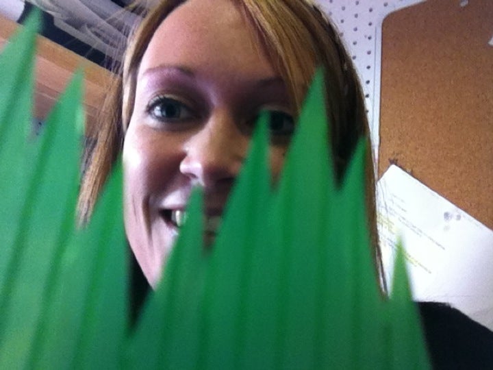 Pet Food Center, 2744 Frederica St, Owensboro, KY MapQuest