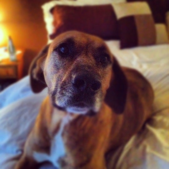 Isle of Palms, SC Map & Directions MapQuest