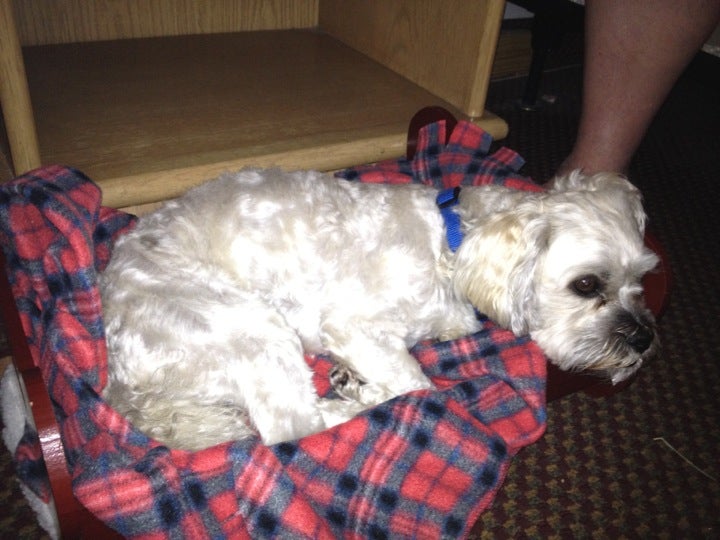 Waveland, MS Map & Directions MapQuest