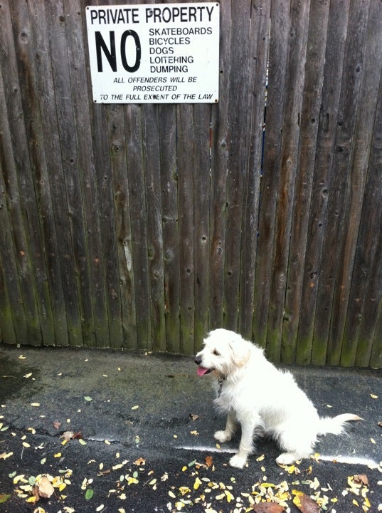 St Margaret's Center, 27 Hackett Blvd, Albany, NY, Clinics MapQuest