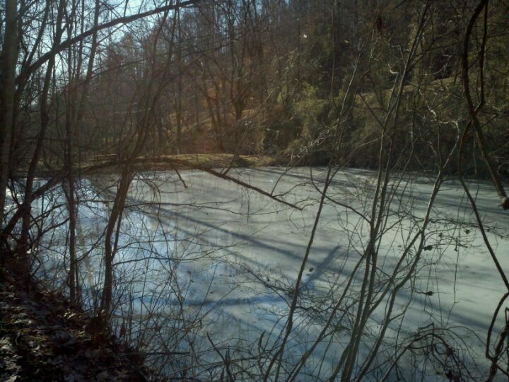 Rogersville, TN Map & Directions MapQuest