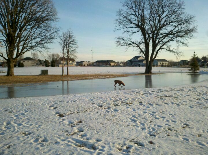 Goodview Park, 25901 Glen Oak Dr, Wyoming, MN MapQuest