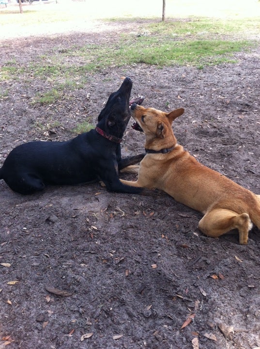 Sorrento, FL Map & Directions MapQuest