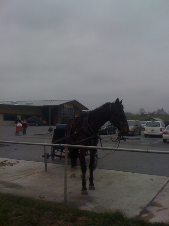 Bb's Grocery Outlet LP, 20 Quigley Rd, Newburg, PA, Grocery Stores
