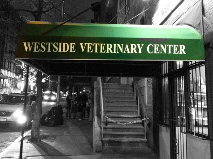 westside veterinary hospital nyc