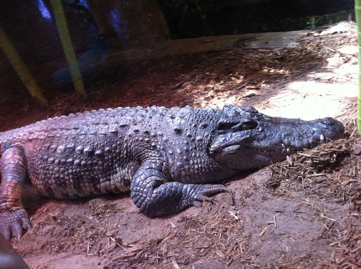 Holden Museum of Living Reptiles, 8450 W 10 Mile Rd, Royal Oak, MI