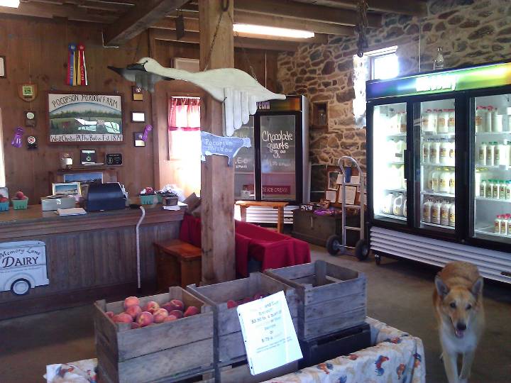 Baily's Dairy, 1821 Lenape Unionville Rd, Pocopson Twp, PA, Dairies