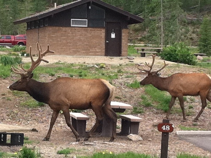 Timber Creek Campground, Timber Creek, Grand Lake, CO - MapQuest