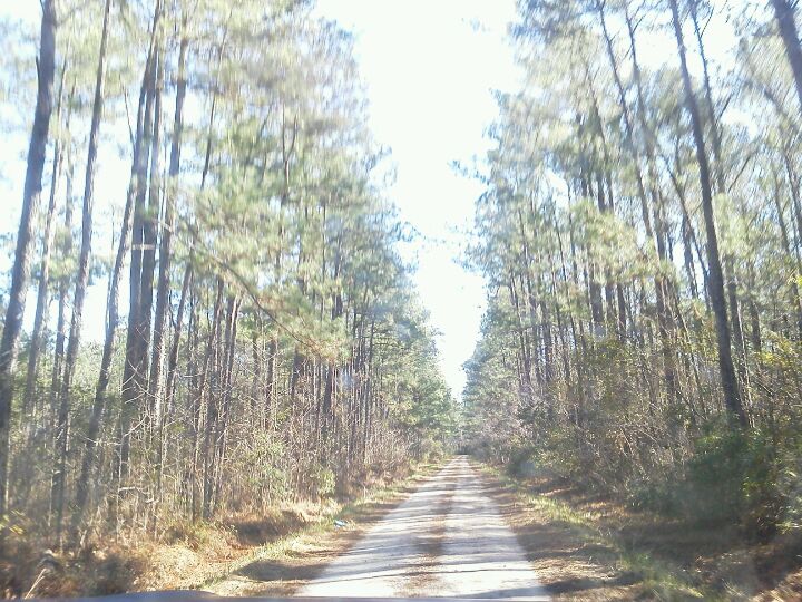 Palmetto Trail Lake Moultrie Passage, N Highway 52, Bonneau, SC