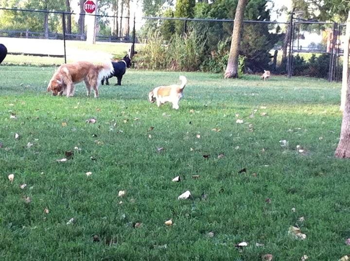 Taylor Ridge, IL Map & Directions MapQuest