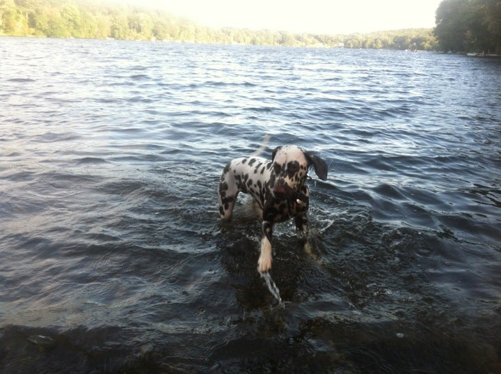Lake Terramuggus, Park road, Marlborough, CT, Landmark MapQuest