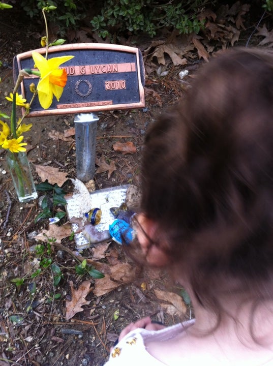 Fairfield Memorial Park Cemetery, 230 Oaklawn Ave, Stamford, CT MapQuest