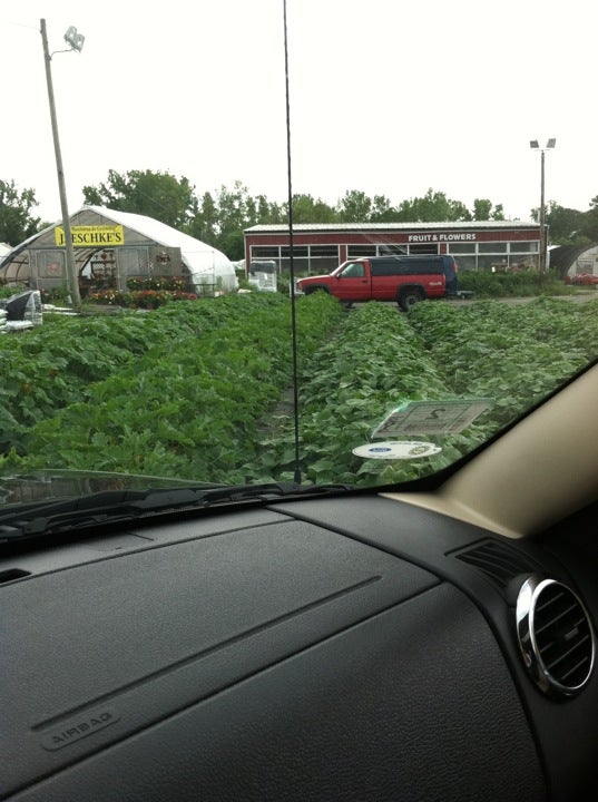 Jaeschke Fruit & Flowers Center, 736 Crane Ave, Pittsfield, MA, Retail nurseries and garden