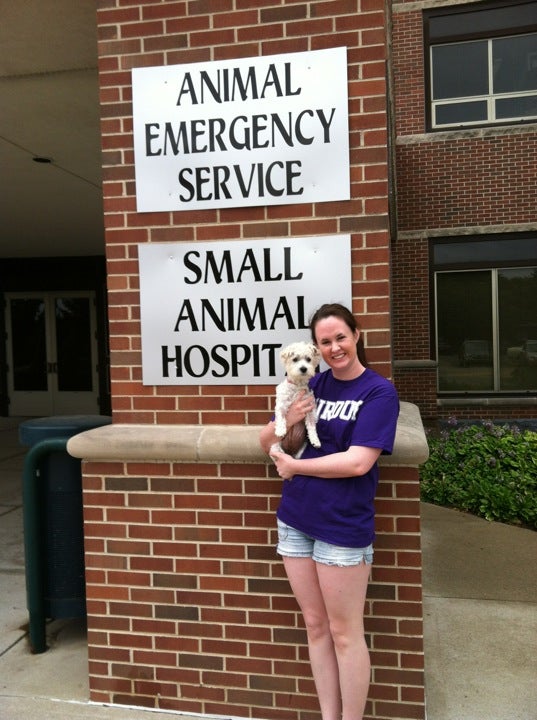 Purdue University Small Animal Hospital, 625 Harrison St, West Lafayette,  IN, Veterinarians - MapQuest