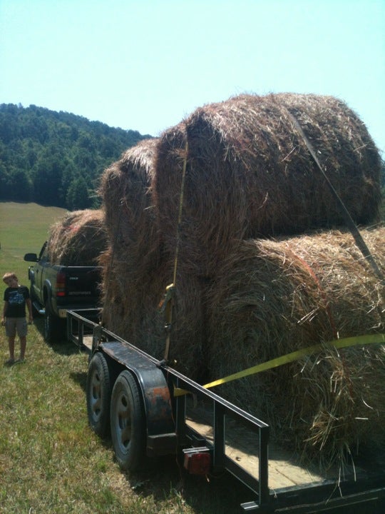 Tractor Supply Company, 250 Pine Crest Rd, Morehead, KY, Retail Shops