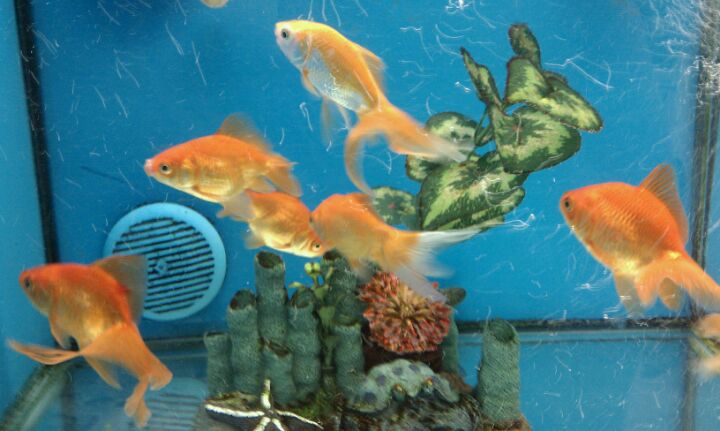 Walmart, 395 N KS-7, Olathe, KS, Department Stores - MapQuest