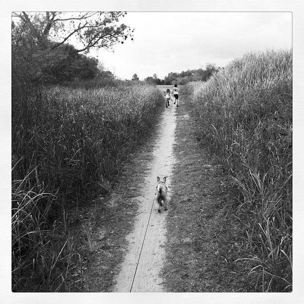 Carter Road Trails, Bartow, FL, Trail MapQuest