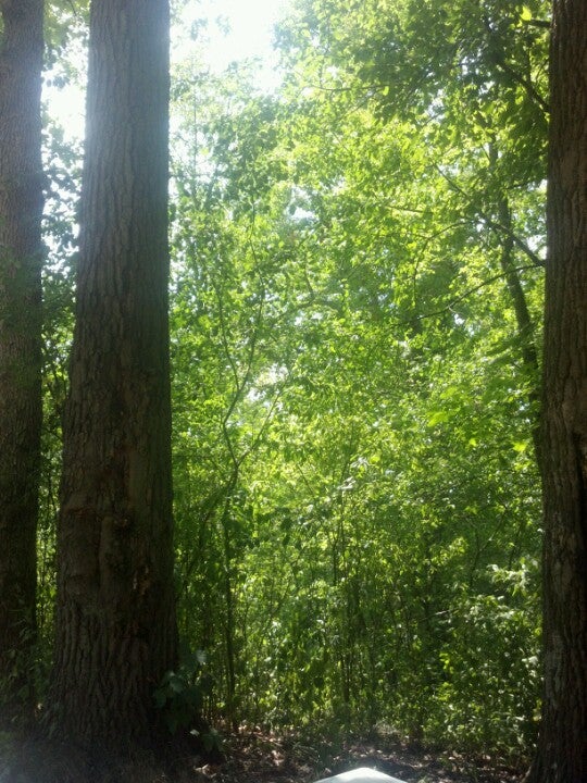 Tipton, MI Map & Directions MapQuest