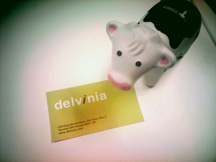 Delvinia Interactive Inc