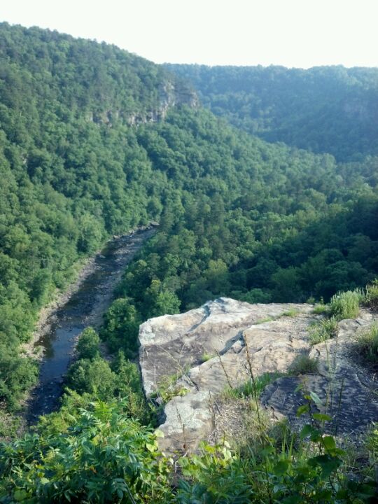 Cedar Bluff, AL Map & Directions MapQuest