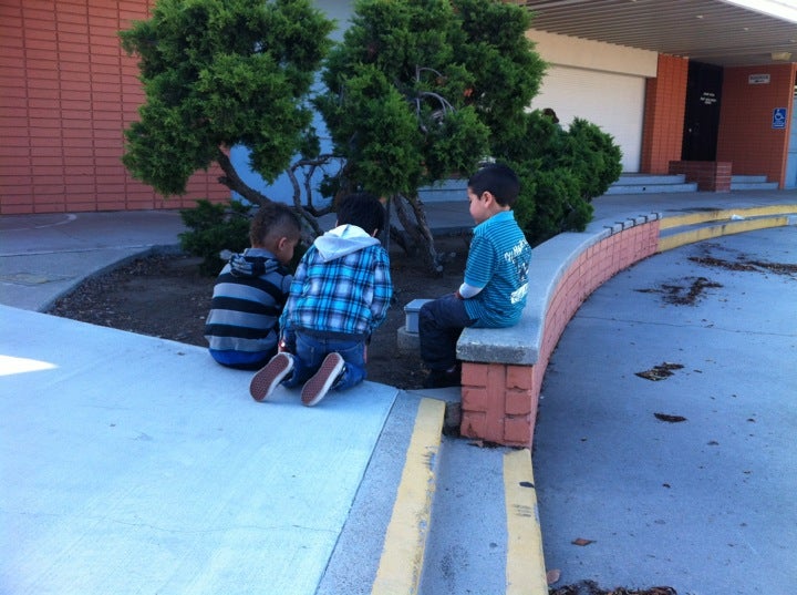 Laurel Cont High School CLOSED, 10291 Bloomfield St, Los Alamitos, CA