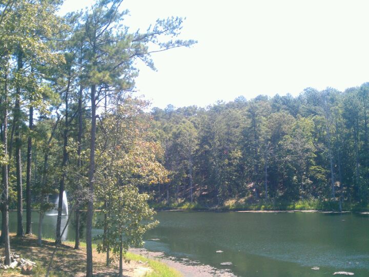 Liberty Park Sports Complex, 4700 Sicard Hollow Rd, Vestavia Hls, AL