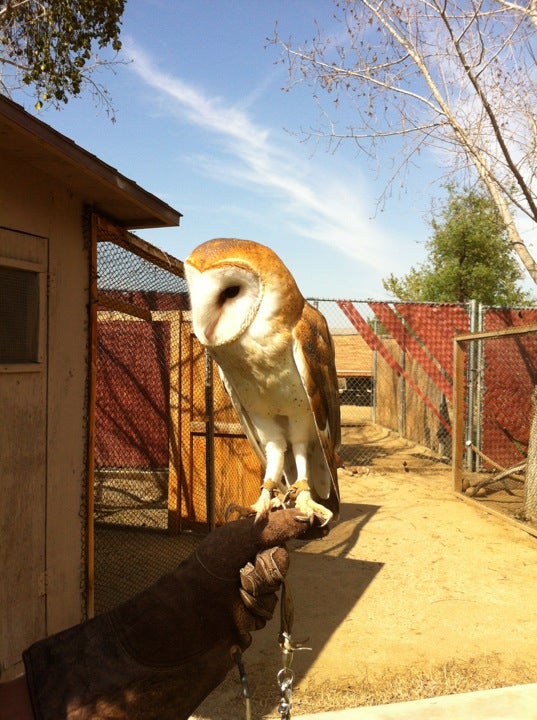 California Area Living Museum (Calm), Old Alfred Harrell Hwy, Bakersfield, CA, Zoos MapQuest
