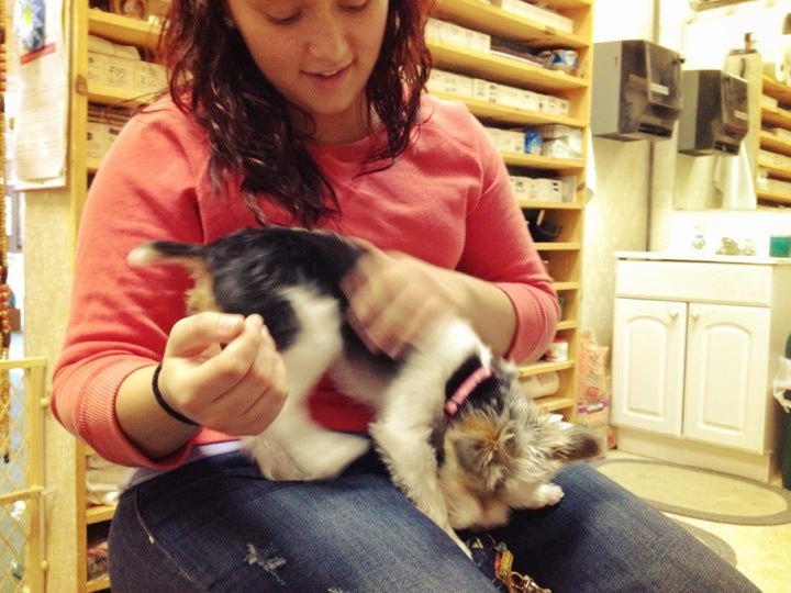 Parkway Center Mall, 1165 McKinney Ln, Pittsburgh, PA MapQuest