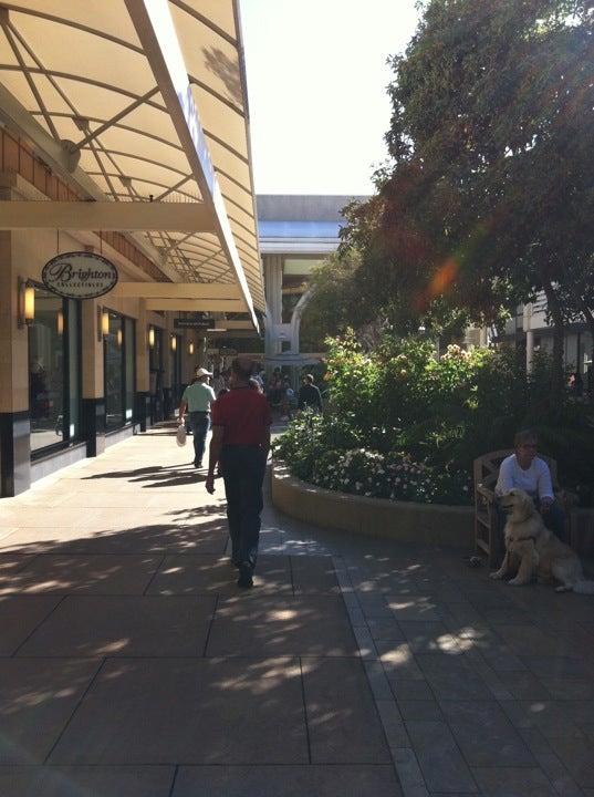 In Bloom: Stanford Shopping Center's Garden Walk