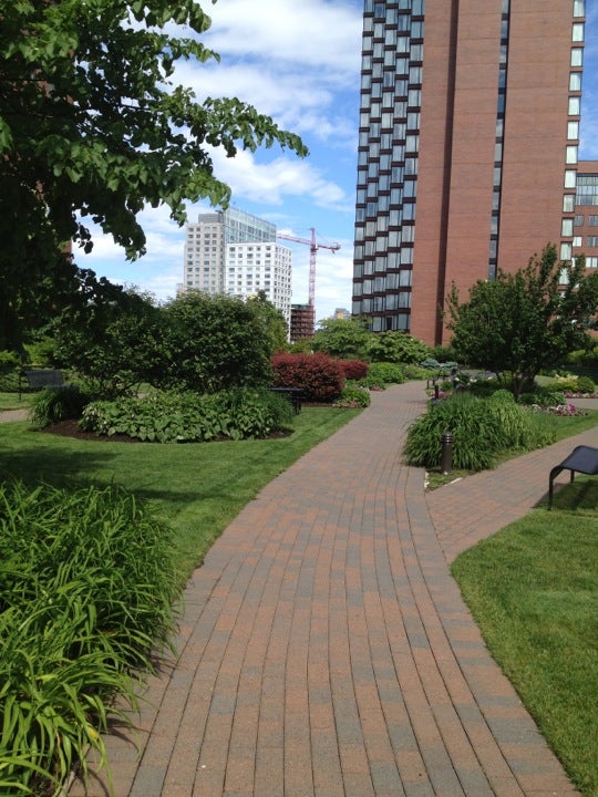 Google Rooftop Garden Cambridge Fasci Garden