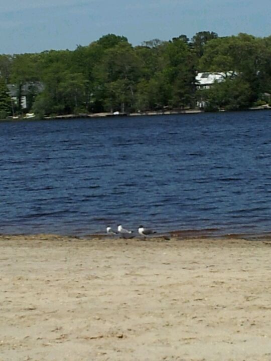 Manahawkin Lake Park, 9 N Lakeshore Dr, Manahawkin, NJ MapQuest