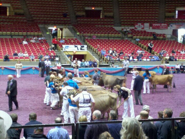 World Dairy Expo, 1919 Alliant Energy Center Way, Madison, WI MapQuest