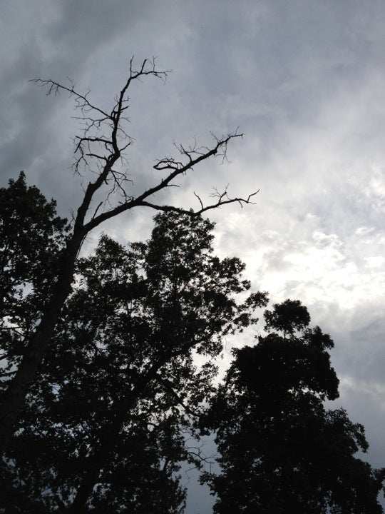 Nova Studio of Photography, 412 N Main St, Red Lion, PA, Photography