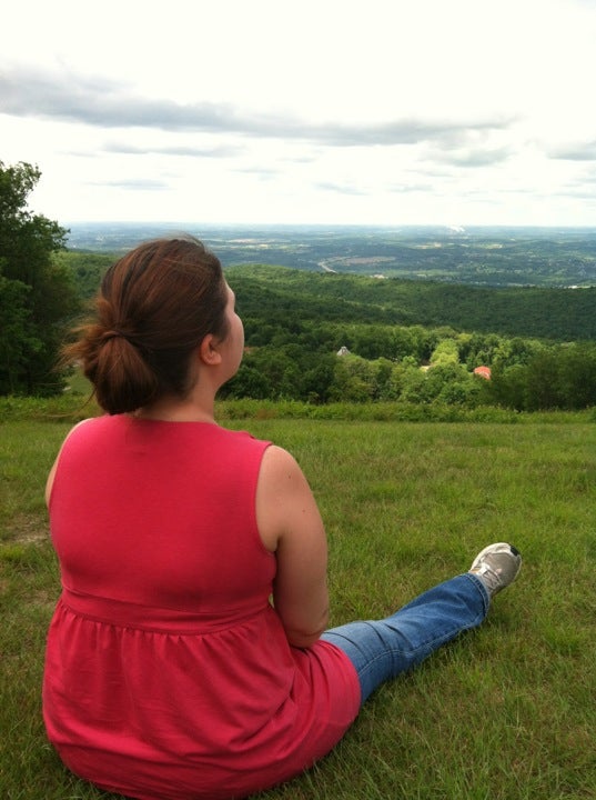 Summit Inn Treehouse, Wharton Furnace Rd, Wharton Twp, PA MapQuest