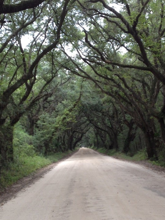 Botany Bay Plantation Heritage Preserve and Wildlife Management Area, Botany Bay Rd, Edisto
