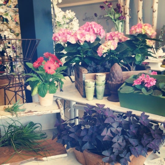 Glendale Flowers Toledo Best Flower Site