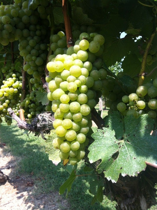 Broad Run, VA Map & Directions MapQuest