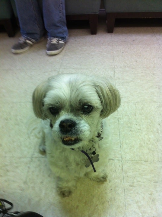 Clare Foundation, 11313 W Washington Blvd, Culver City, CA, Business