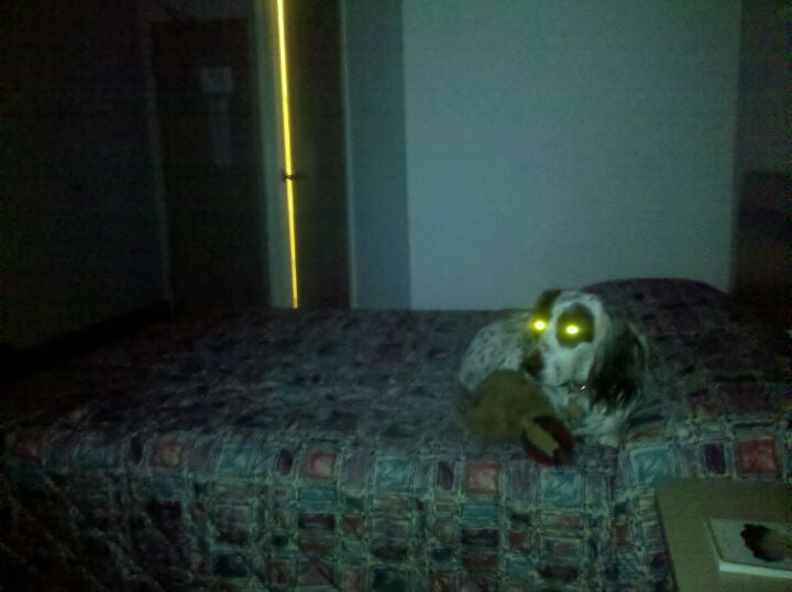 Varna, IL Map & Directions MapQuest