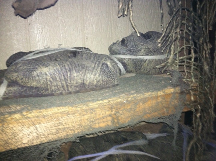 Chris Birkett's Haunted Graveyard, 8414 E Valley Vista Dr, Scottsdale