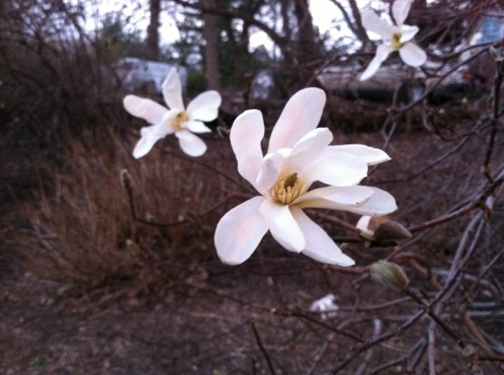 Gaithersburg, MD Map & Directions MapQuest