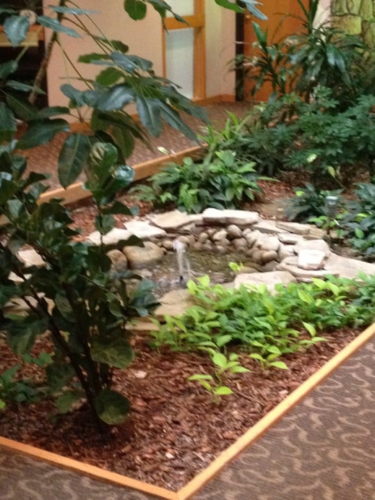 Rebecca Brancheau Massage Therapy, 4341 S Westnedge Ave, Kalamazoo, MI