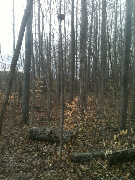 Kingsley, MI Map & Directions MapQuest