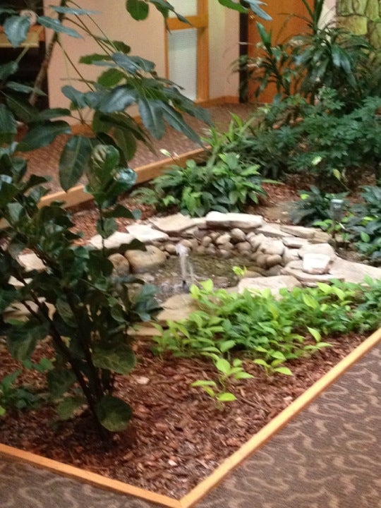 Rebecca Brancheau Massage Therapy, 4341 S Westnedge Ave, Kalamazoo, MI