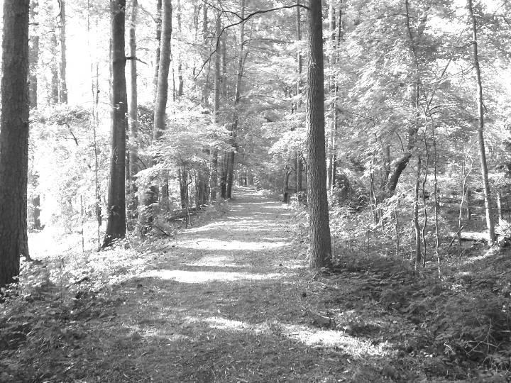 Ellenwood, GA Map & Directions MapQuest