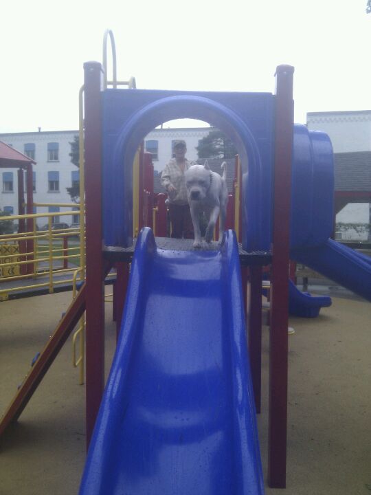 Hammond, NY Map & Directions MapQuest